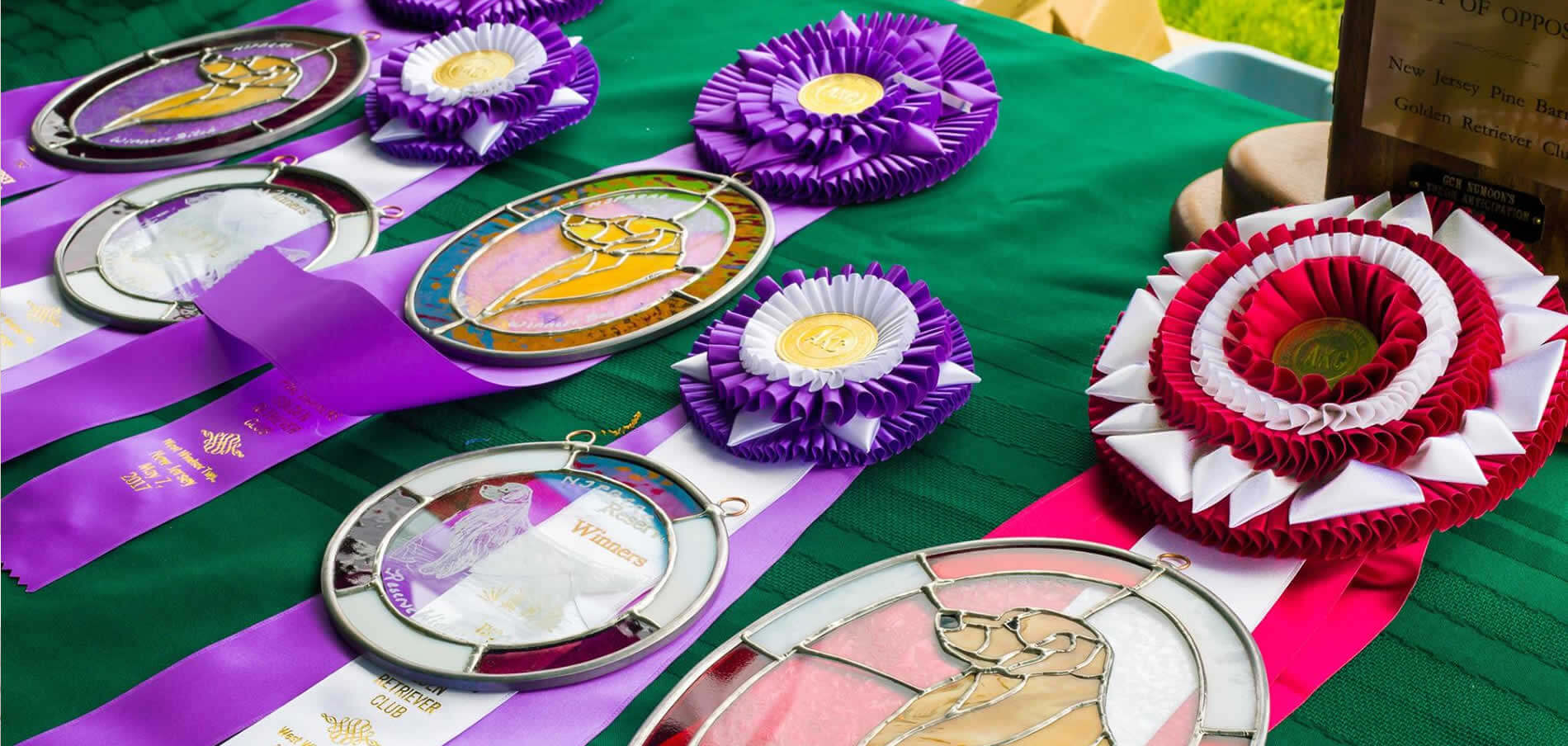Table of colorful ribbons at Specialty Dog Show