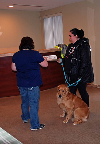 Golden Retriever and owner at NJPBGRC Clinic